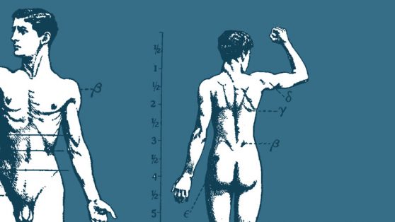 Collage NiIbelungen Motion Design Anatomie Erklärfilm