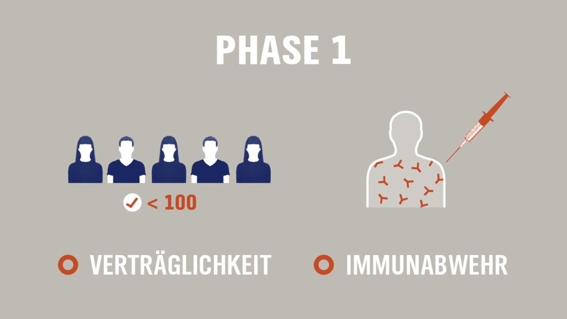 Collage Infografik Panorama NDR Corona Impfstoff Phase 1