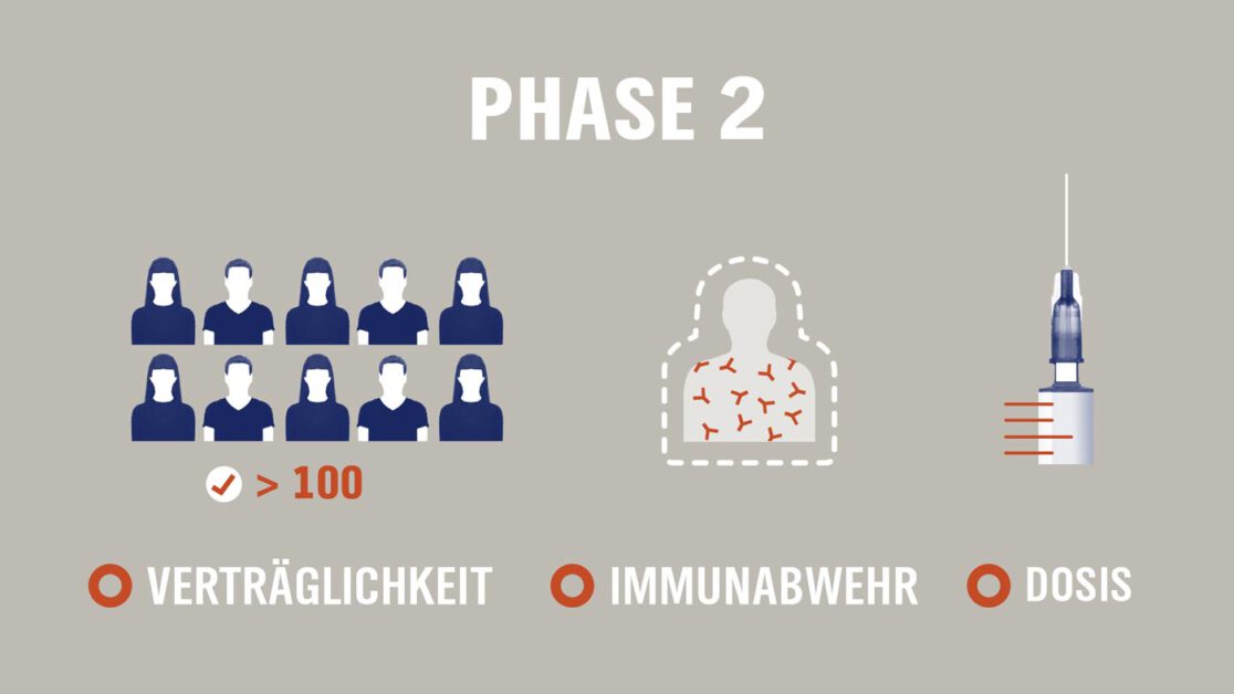 Collage Infografik Panorama NDR Corona Impfstoff Phase 2